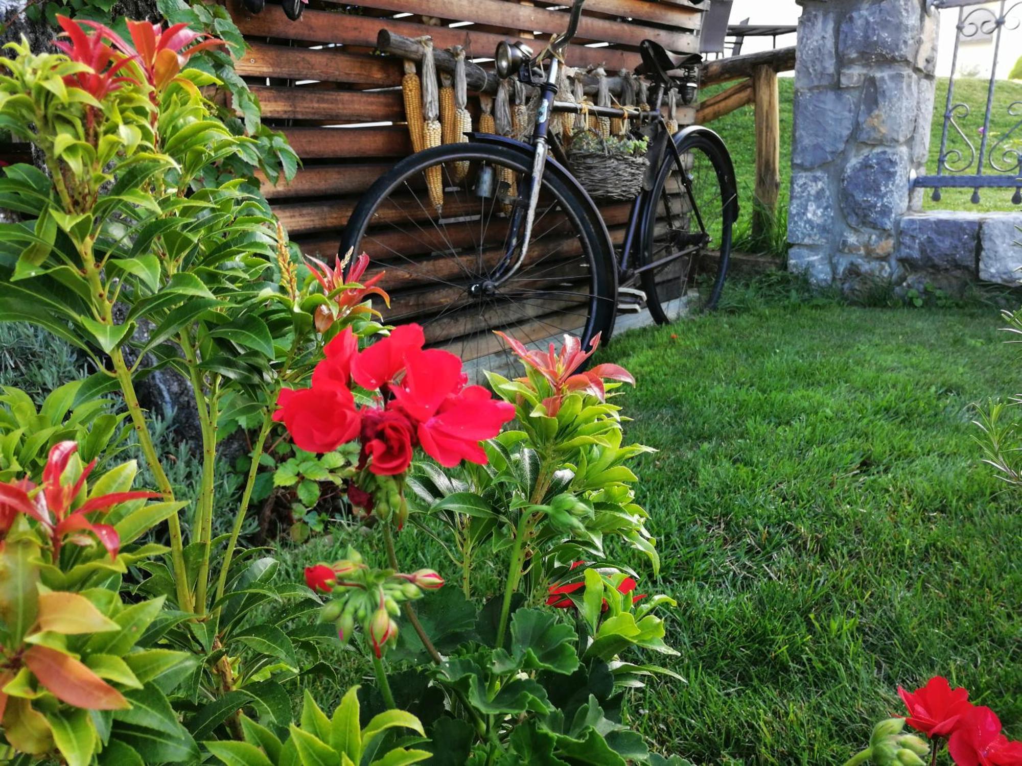 Barn House Mm Apartment Блед Екстериор снимка